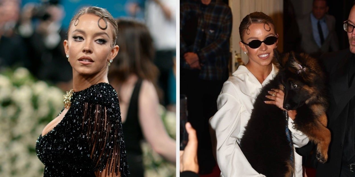 Cuidado com o sol: mulher usa óculos de sol enquanto o cachorro fica exposto. Legenda da imagem. Reprodução: BuzzFeed