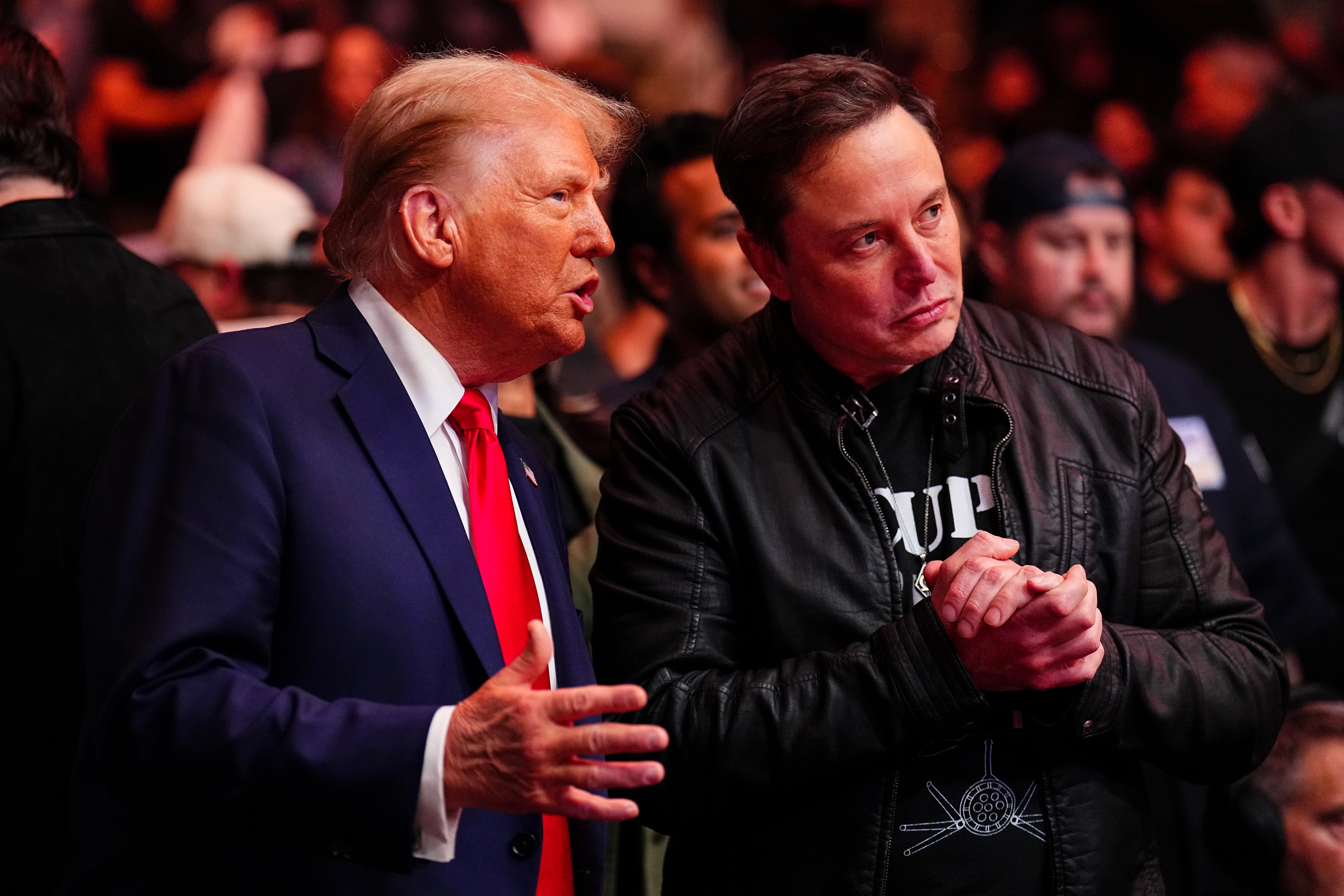 Trump e Musk se encontram em evento da UFC após troca de ataques públicos. Reprodução: Business Insider