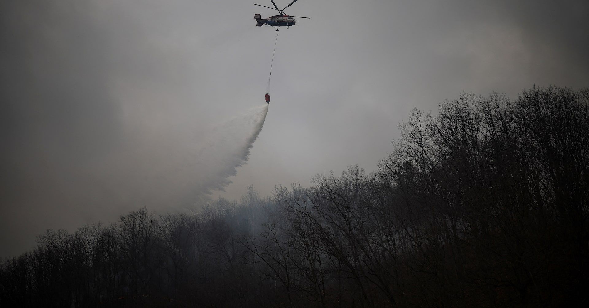 Incêndios Florestais na Coreia do Sul: Emergência Climática