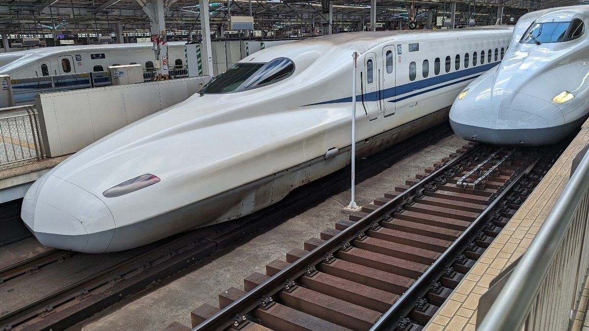 Animal se enrosca em linha de transmissão de energia. Reprodução: IG.