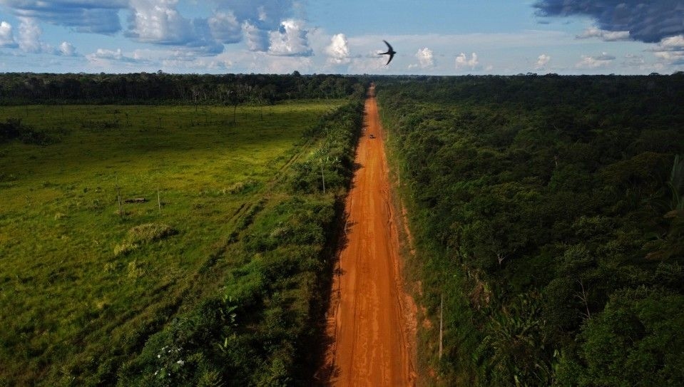 [ONGs acionam a Justiça contra derrubada de vetos do Licenciamento Ambiental]. Reprodução: Oglobo