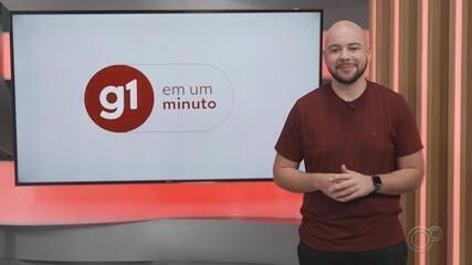 Polícia Federal realiza operação com mandados de busca em São José do Rio Preto (SP). Reprodução: Globo