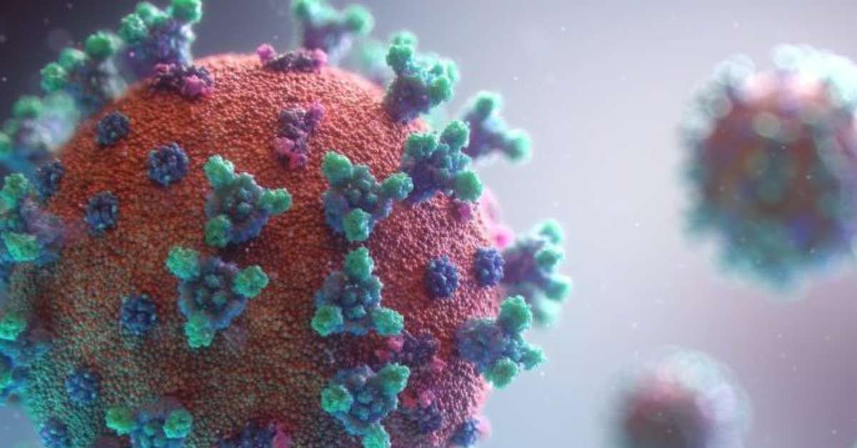 Compreenda o conceito de Doença X da OMS