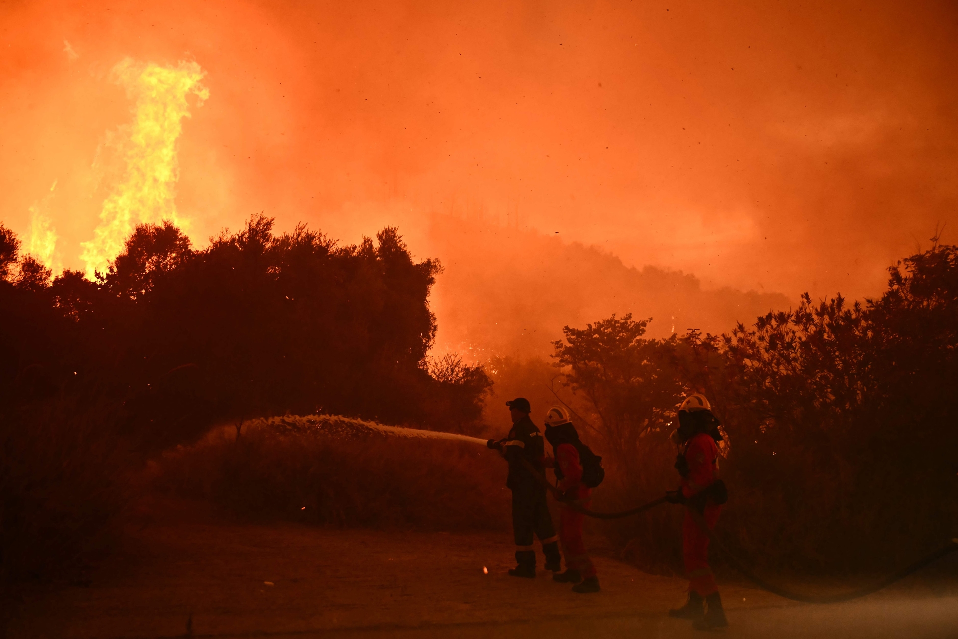 Biblioteca em Barcelona serve como refúgio climático durante onda de calor na Europa. Reprodução: Globo