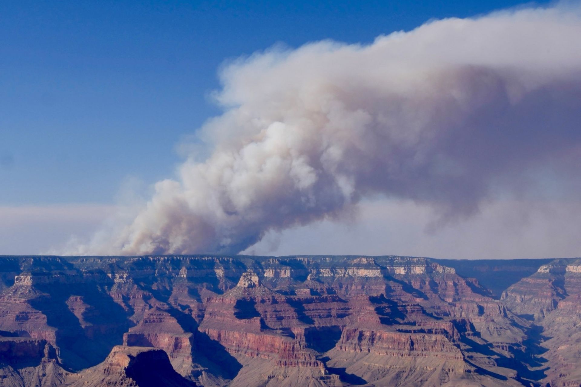 Fumaça densa do incêndio Dragon Bravo no Parque Nacional do Grand Canyon. Reprodução: Gizmodo
