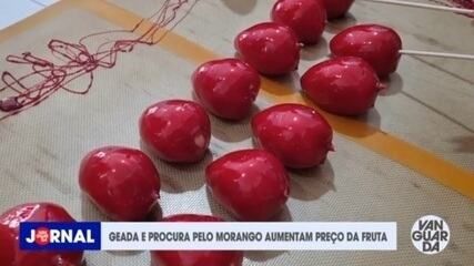 Aumento na procura pelo morango do amor eleva preços em Atibaia. Reprodução: Globo