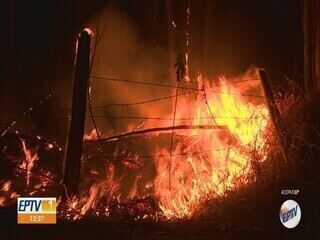 Incêndio atinge área às margens da Rodovia Dom Pedro em Campinas. Reprodução: EPTV