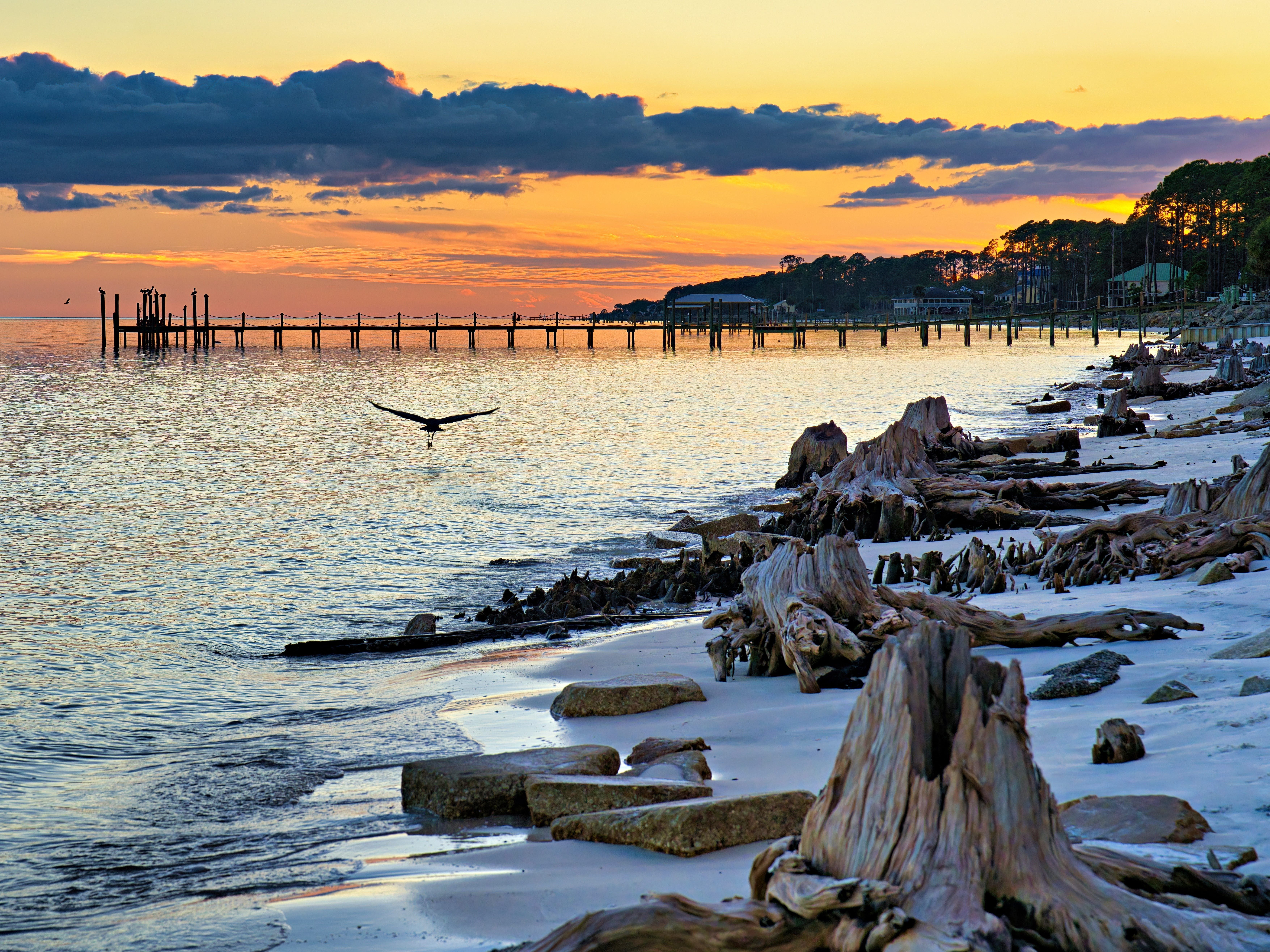 Driftwood Beach, na Geórgia, é famosa por suas árvores desgastadas e paisagens únicas. Reprodução: Business Insider