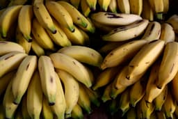 Presidente do Panamá busca acordo com a Chiquita para reativar operações no país após demissões. Reprodução: Globo