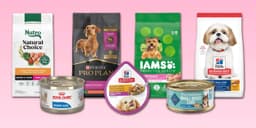 Melhores rações e alimentos úmidos para pequenos cães, apresentados por marcas renomadas. Reprodução: Business Insider