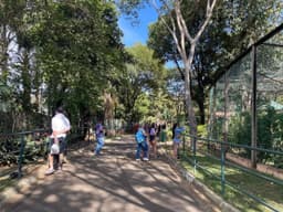 [Vereadores em sessão sobre alterações do Comdema e privatização de zoológico e cemitérios]. Reprodução: G1