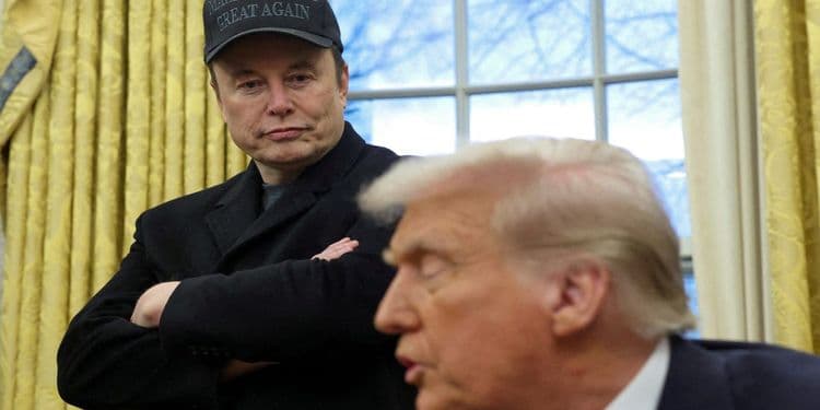 Elon Musk gera polêmica com uso de termo ofensivo