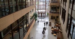 Universidades Americanas Sob Vigilância por Antissemitismo