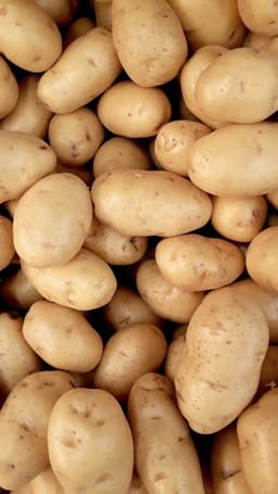 Legenda da imagem. Reprodução: Retorno do item 11