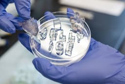 Jelly ice: gelatin sustentável e sem desperdício de água. Reprodução: Gizmodo