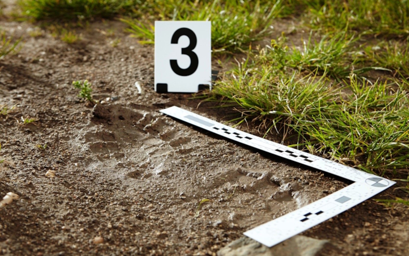 [Equipes da Unesp Jaboticabal aplicam pedologia forense para investigar solos em casos criminais]. Reprodução: G1