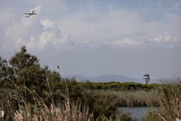 Avião sobre a área natural de La Ricarda, no entorno do aeroporto de El Prat, foco da polêmica de ampliação. Reprodução: Retorno do item 11
