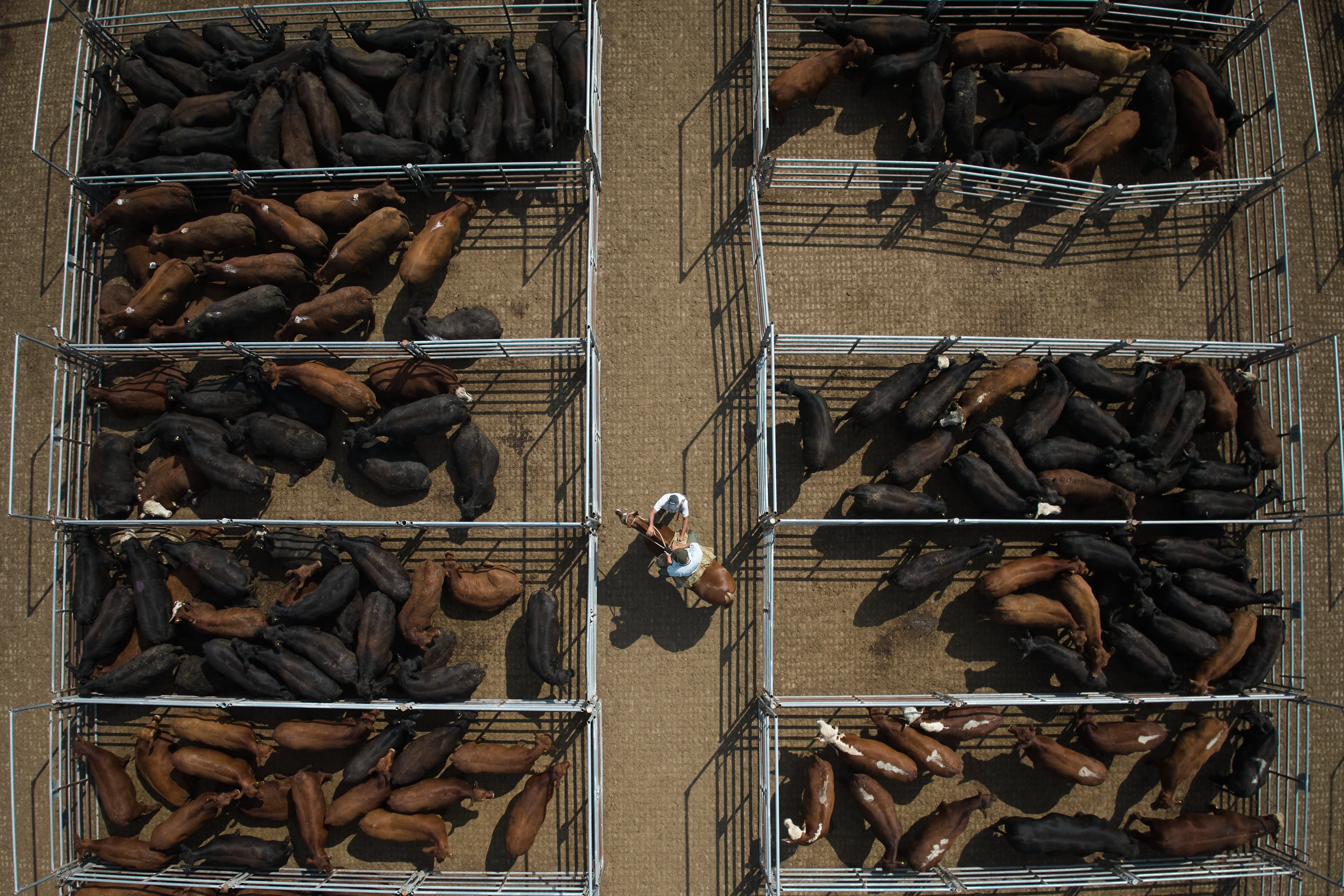 [Carne domina as disputas sobre o acordo UE-Mercosul.]. Reprodução: Elpais