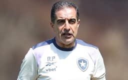 Botafogo Se Prepara Com Amistoso Contra Novorizontino
