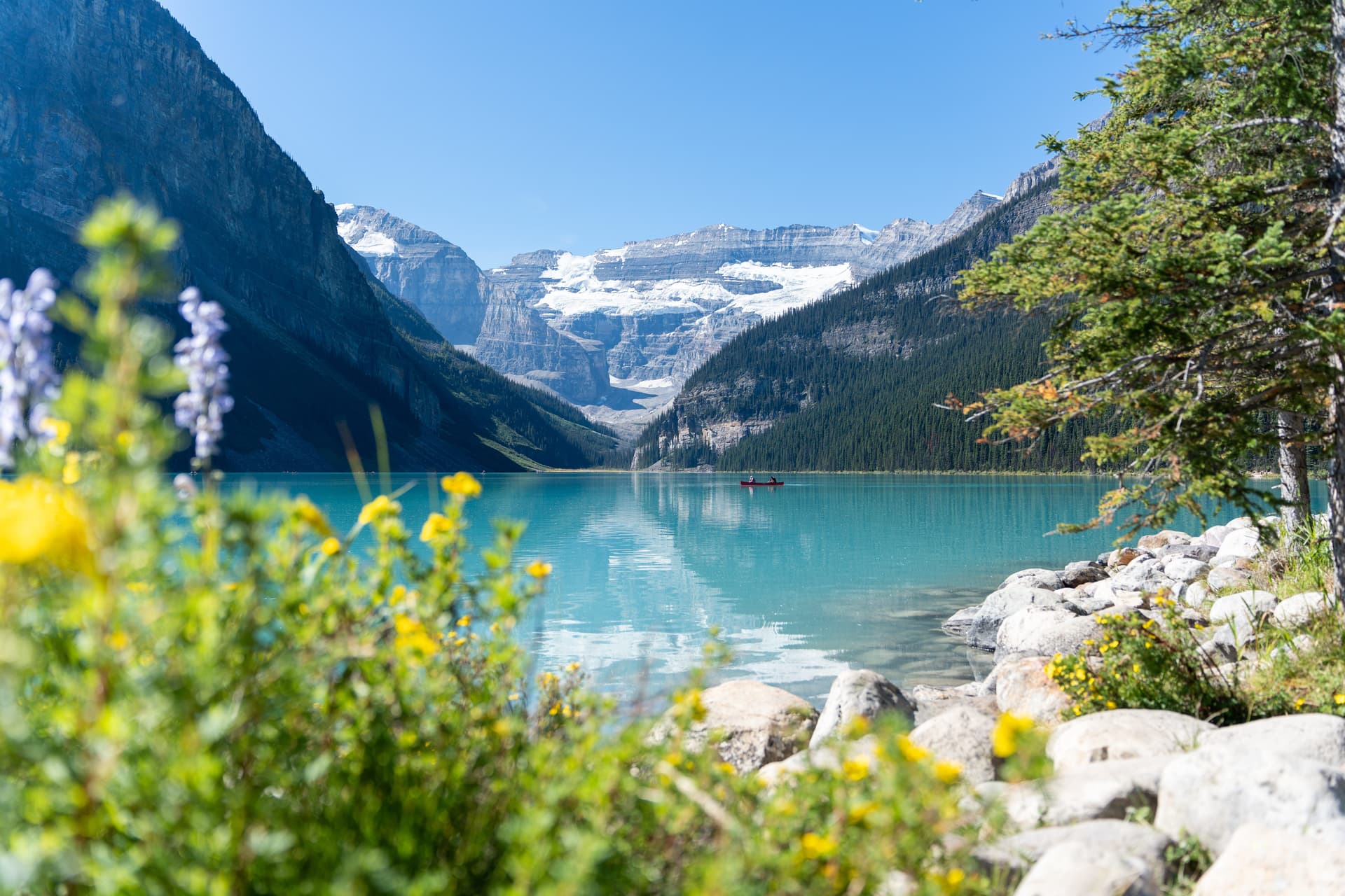 Voos entre Canadá e Europa atingem recorde, atraindo mais turistas. Reprodução: Business Insider