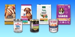 Alimentos para cães em dieta de emagrecimento: opções secas e molhadas eficazes. Reprodução: Business Insider
