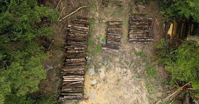 Impactos da rodovia para a COP30 em Belém