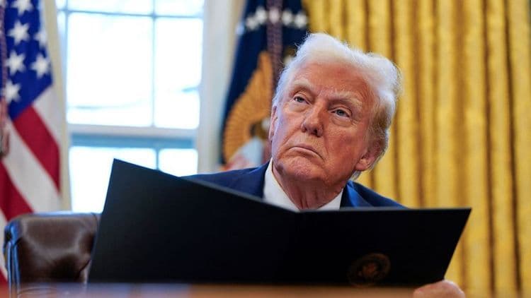 Efeitos das Tarifas de Trump na Economia Global