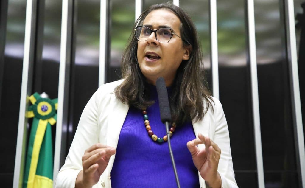 Deputada Veta Anistia a Envolvidos no Golpe de 1964
