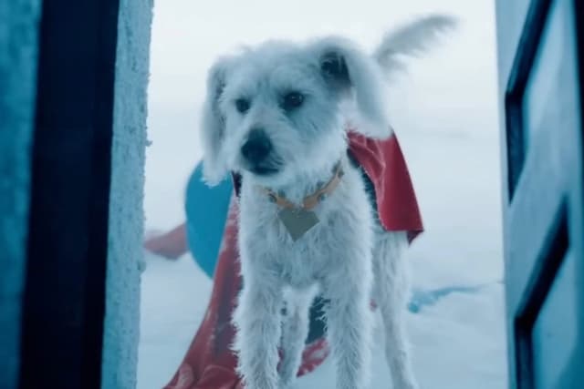 Krypto, o supercão da DC Studios, inspira campanha de adoção de animais. Reprodução: Gizmodo