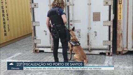 Polícia Federal apreende 62 kg de cocaína escondida em contêiner no Porto de Santos.; Reprodução: Globo