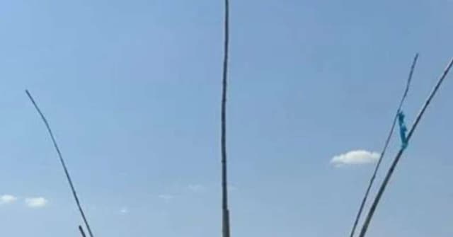 Placa com erro captura atenção de motoristas em Goiás