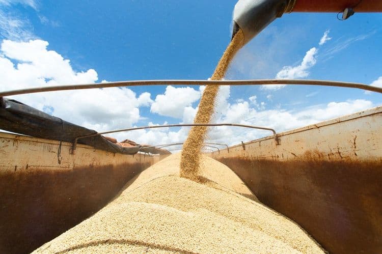 Brasil busca aumentar exportações para a China