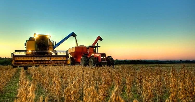 Governo avalia taxação no agronegócio e gera tensão