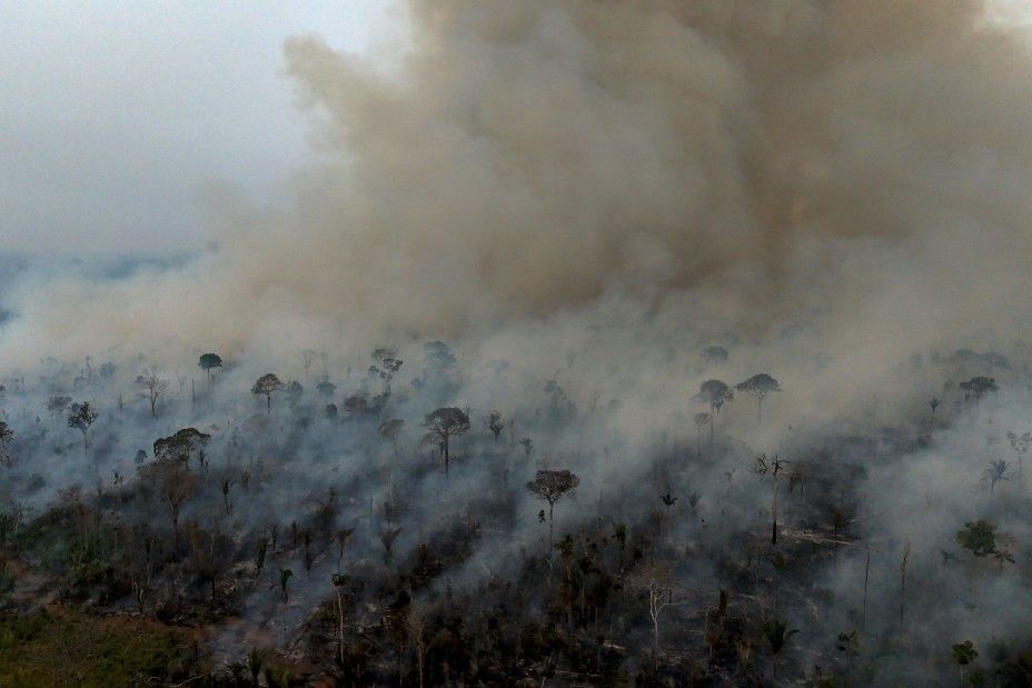 Incêndio ilegal na Amazônia reforça alerta sobre seca e calor, com El Niño previsto pelo governo.. Reprodução: Oglobo