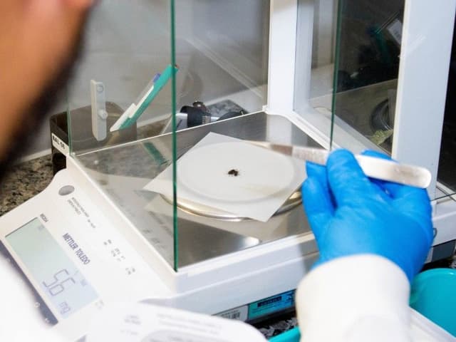 Explicação sobre o exame toxicológico obrigatório para CNH: preço, substâncias e coleta.. Reprodução: Oglobo