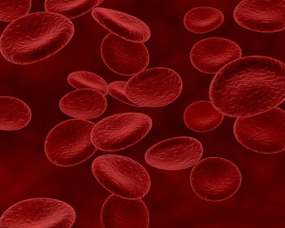 A mielodisplasia, doença que afeta a medula óssea, tem incidence crescente entre idosos.; Reprodução: Globo