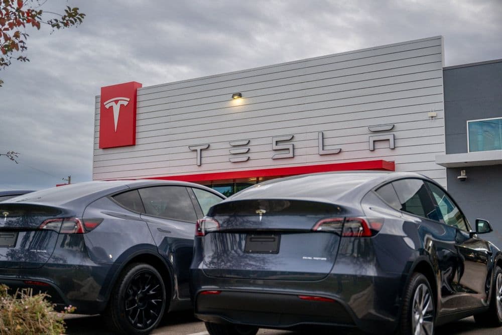 Gigante dos veículos elétricos muda estratégia para o terceiro maior mercado automotivo do mundo. Reprodução: Gizmodo