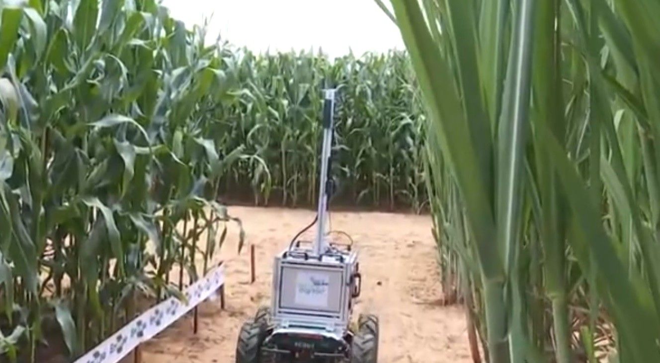 [Coplacampo apresenta protetor solar para frutas e robô com IA na Feira do Agro, em Piracicaba]. Reprodução: G1
