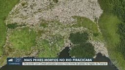Milhares de peixes mortos na APA do Tanquã após despejo irregular de poluentes. Reprodução: g1