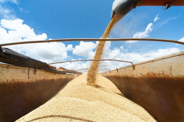 Brasil busca aumentar exportações para a China