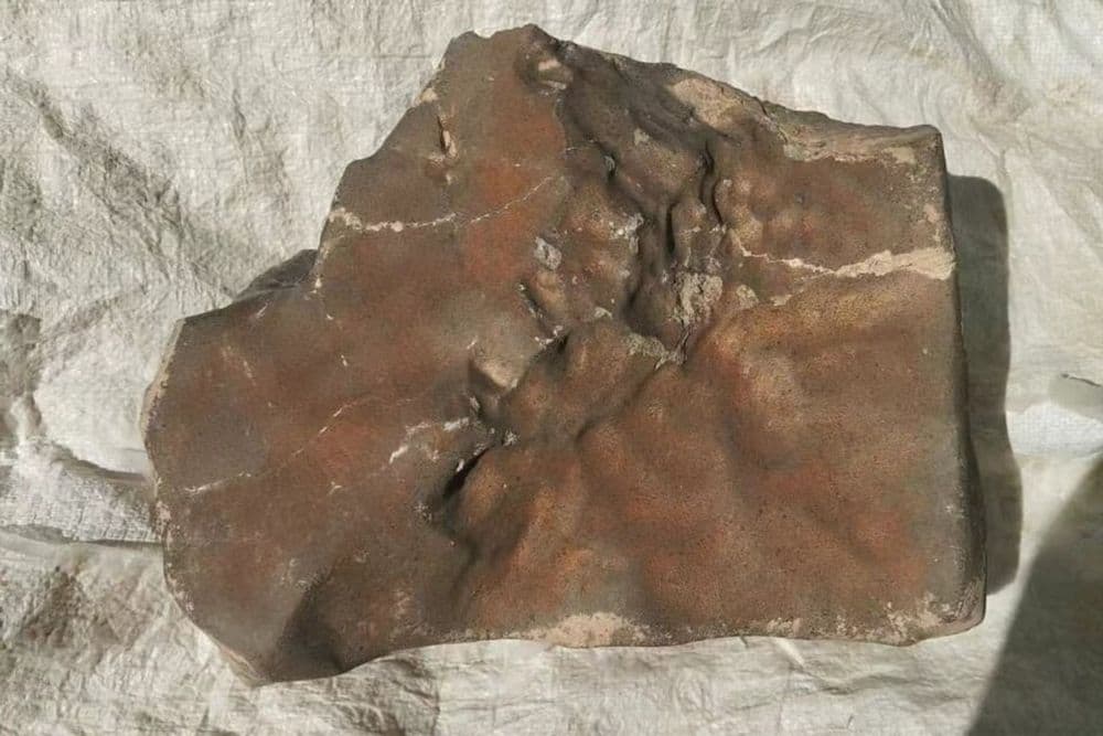 Meteorito NWA 16788, que viajou 140 milhões de milhas, exposto em uma folha branca. Reprodução: Gizmodo