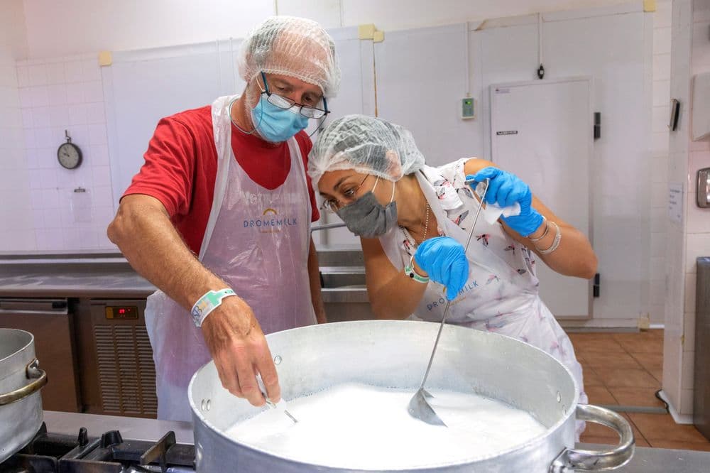 Precios da leite sobem devido à redução da oferta e altas temperaturas. Reprodução: El Pais
