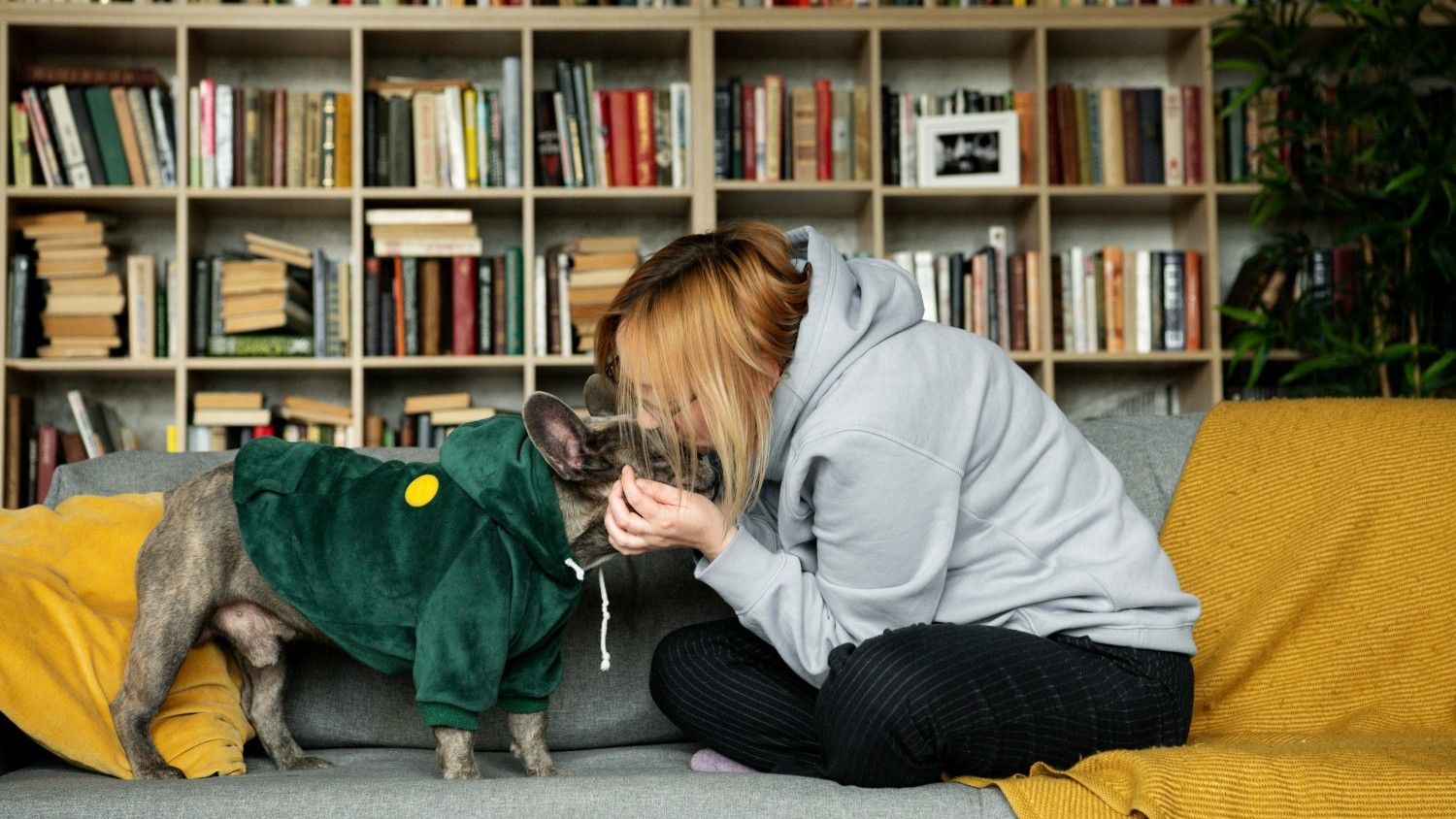 Dono e cão em casa: debate sobre ansiedade causada pela relação com pets. Reprodução: Oglobo