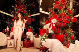 Carla Diaz vence enquete da melhor árvore de Natal entre famosos. Reprodução: Gshow