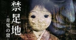 Lançamento de jogo em japonês, chinês e inglês confirmado para este verão. Reprodução: Anime News Network