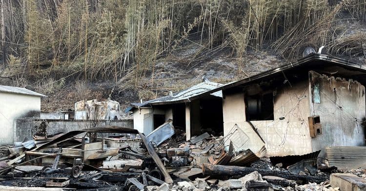 Incêndios Florestais na Coreia do Sul Causam Devastação