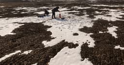 Reunião entre oficiais dos EUA e da Ucrânia discute acesso a riquezas minerais do país. Reprodução: Reuters