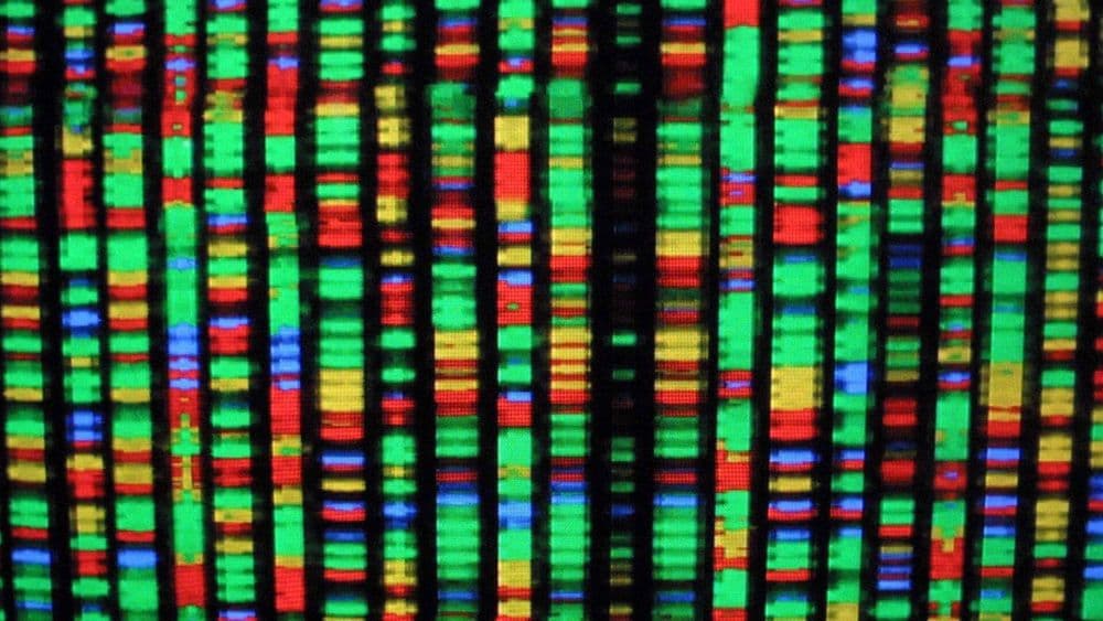 Nova estratégia da instituição médica gera debates sobre riscos e benefícios. Reprodução: Gizmodo
