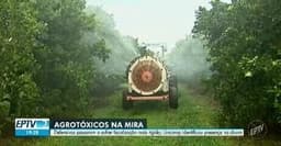 Fiscalização mais rígida visa combater o uso de agrotóxicos proibidos em São Paulo. Reprodução: Globo