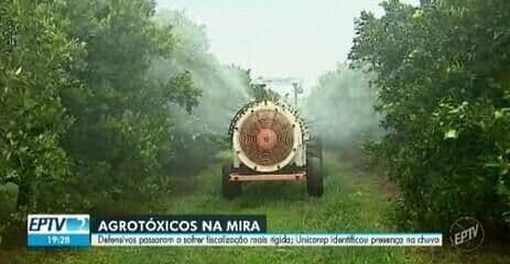 Fiscalização mais rígida visa combater o uso de agrotóxicos proibidos em São Paulo. Reprodução: Globo